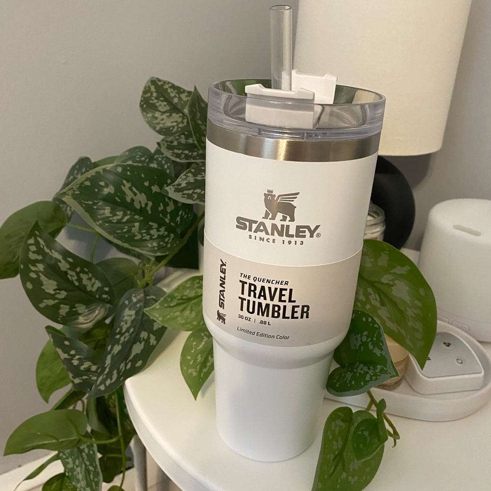 SALE !!! 30oz Stanley Cup